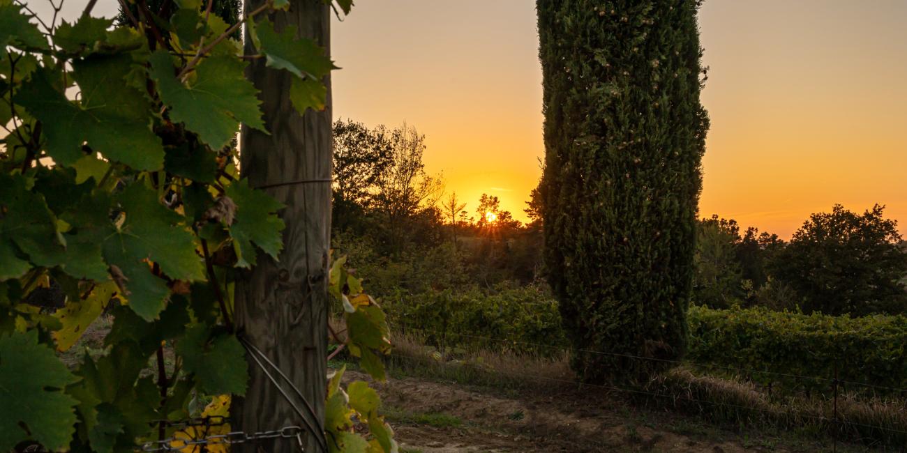 Ospitalità Valdera Toscana